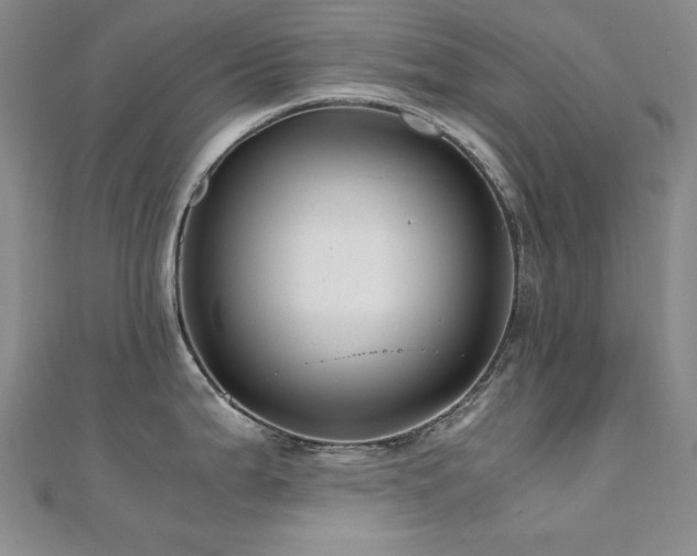 X0000110711199200906121348