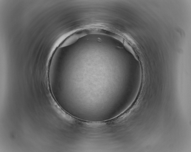X0000110711200200906121348