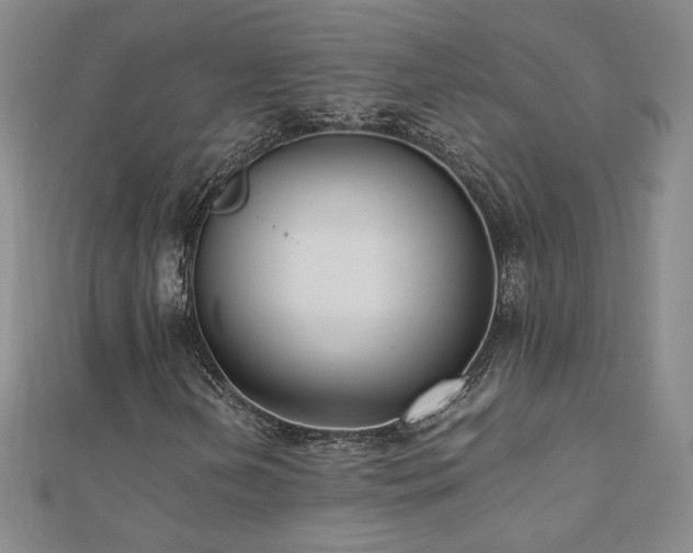 X0000110711202200906121347
