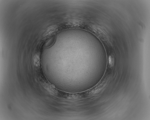 X0000110711203200906121347