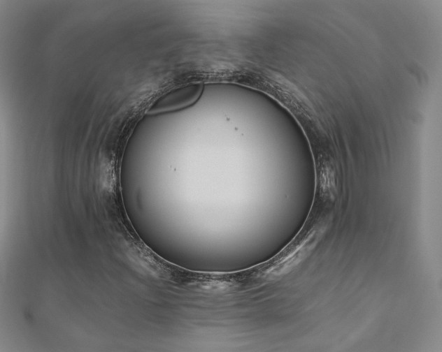 X0000110711204200906121347