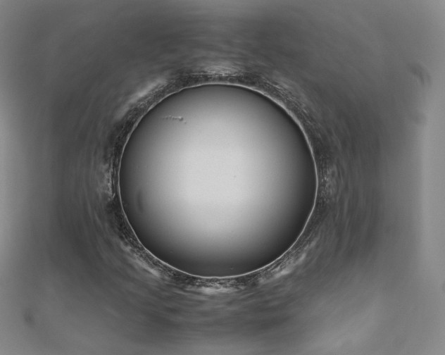 X0000110711205200906121347