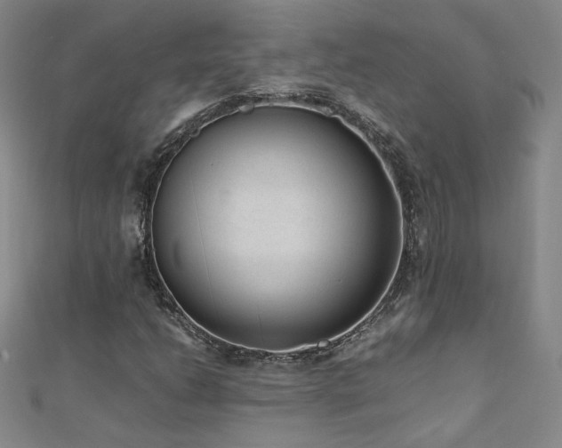 X0000110711206200906121347