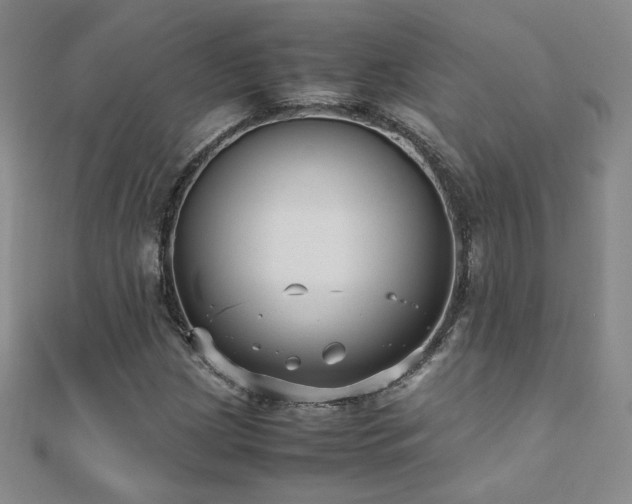 X0000110711209200906121347