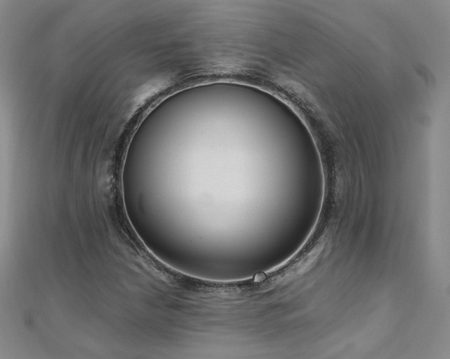 X0000110711210200906121347