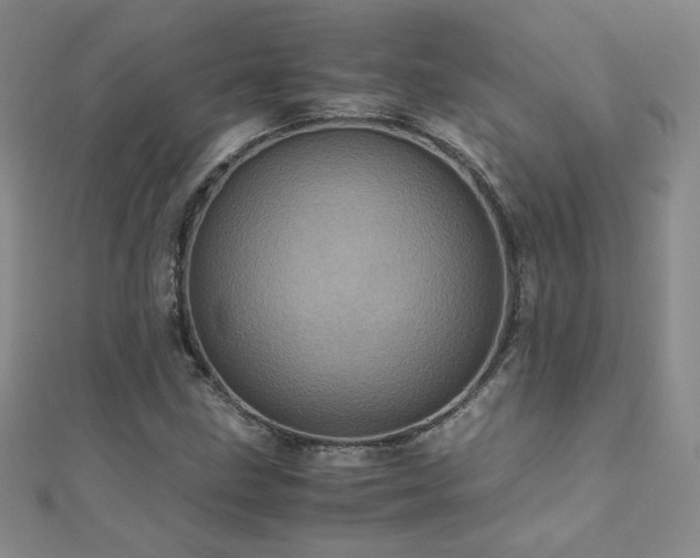 X0000110711211200906121347