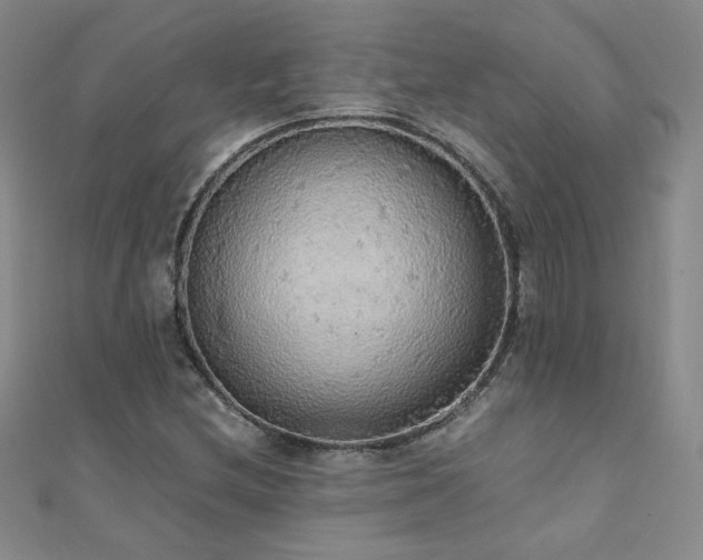 X0000110711212200906121347