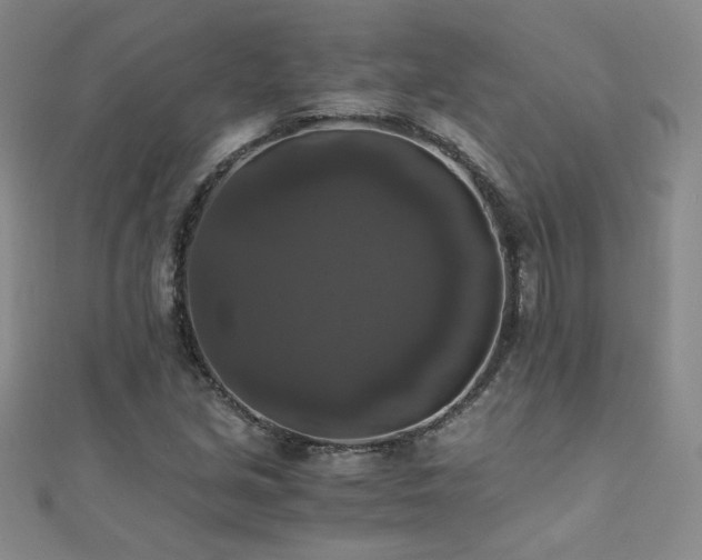 X0000110711213200906121347