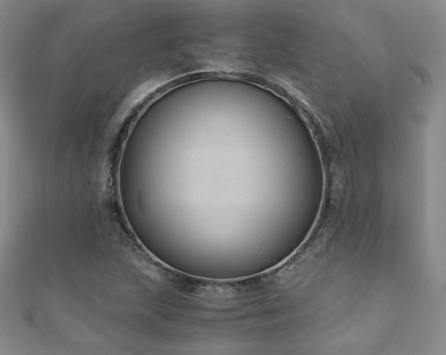 X0000110711215200906121347