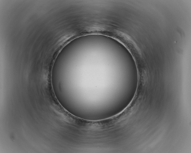 X0000110711217200906121347