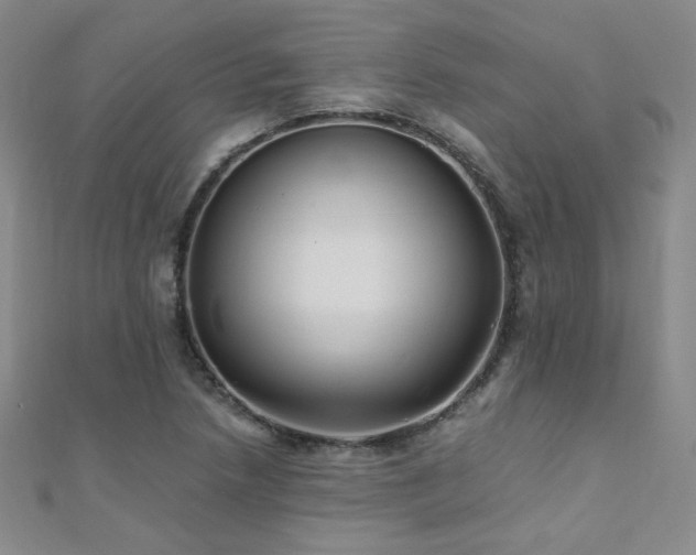 X0000110711218200906121347