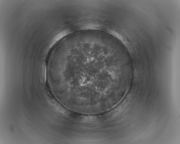 X0000110711219200906121347