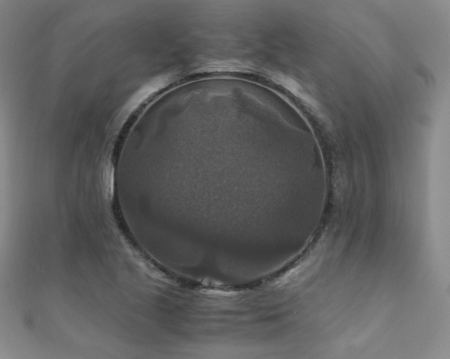X0000110711221200906121347