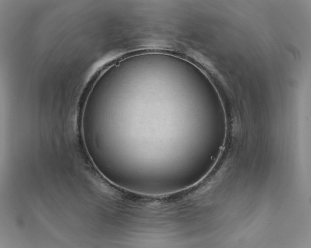 X0000110711222200906121347