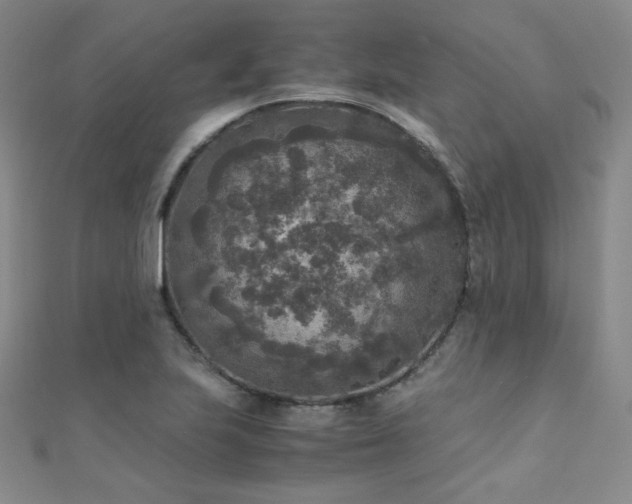 X0000110711223200906121347