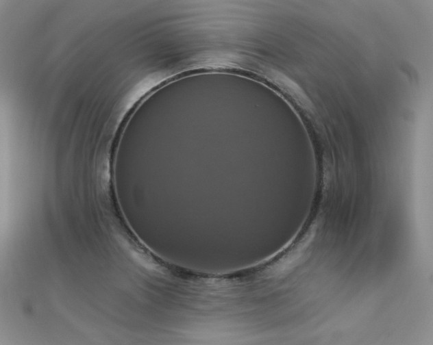 X0000110711226200906121347