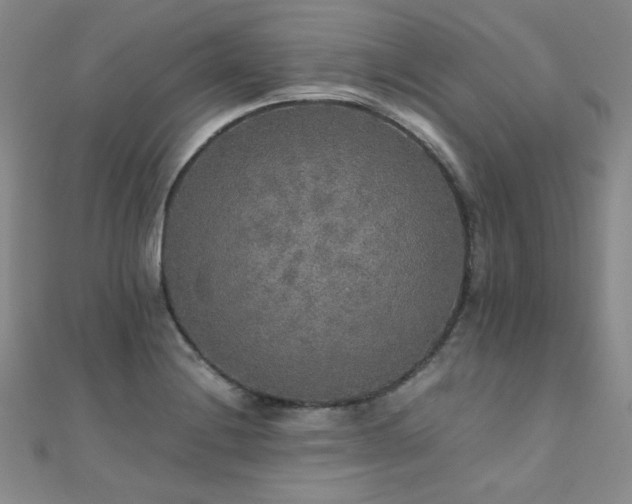 X0000110711228200906121347