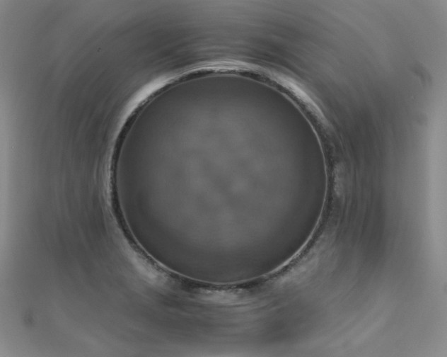 X0000110711229200906121347