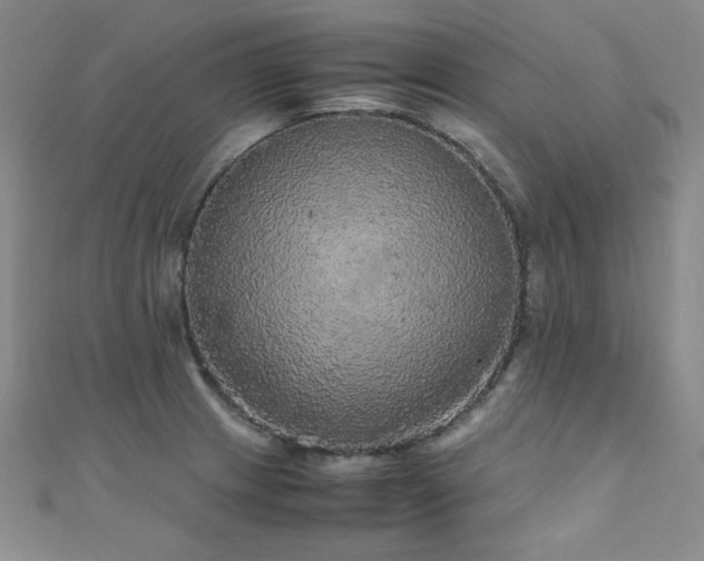 X0000110711233200906121347