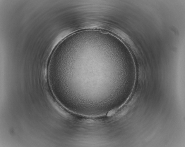 X0000110711234200906121347