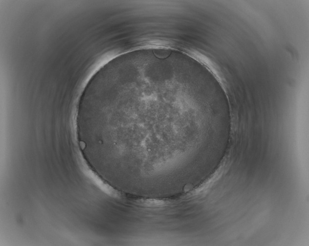 X0000110711235200906121347