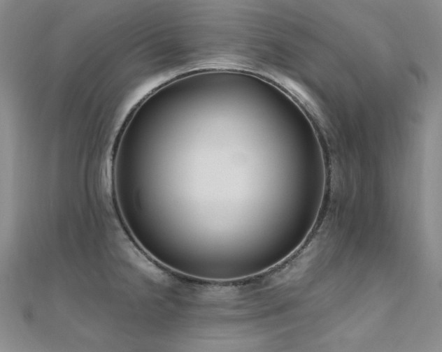 X0000110711238200906121348