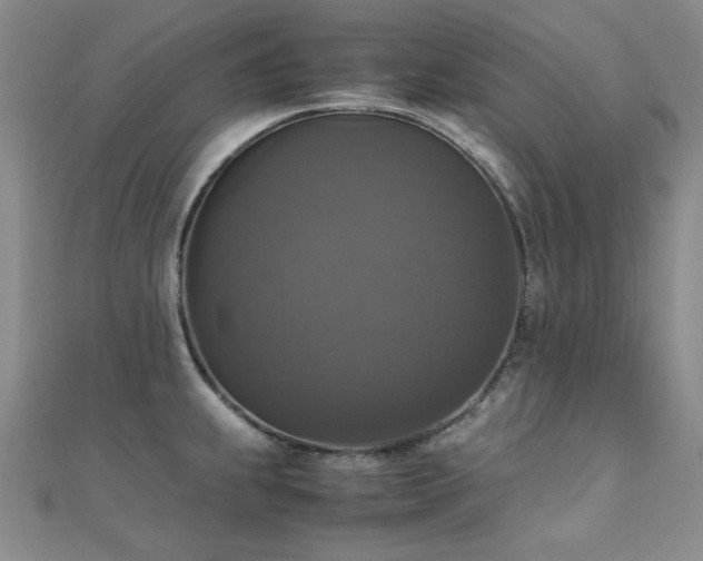 X0000110711239200906121348