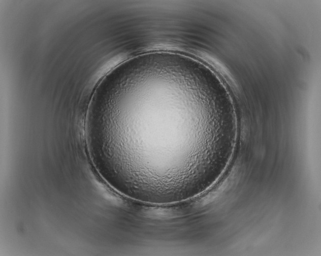 X0000110711241200906121348