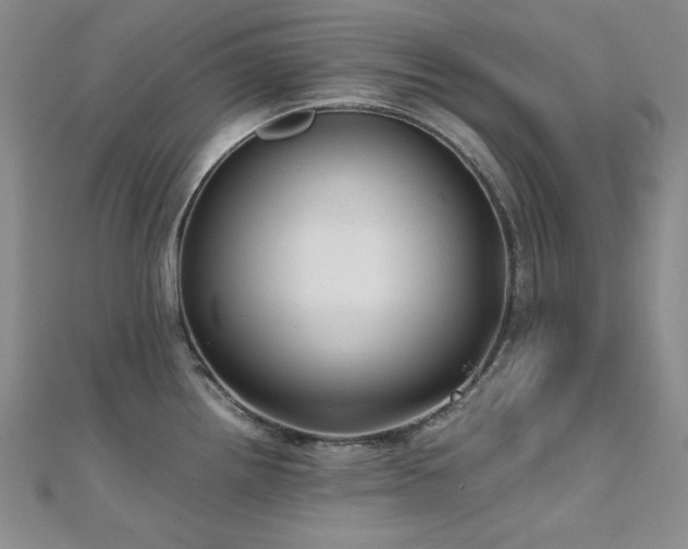 X0000110711242200906121348