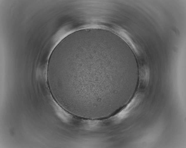 X0000110711244200906121348