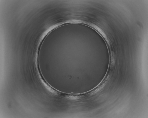 X0000110711245200906121348