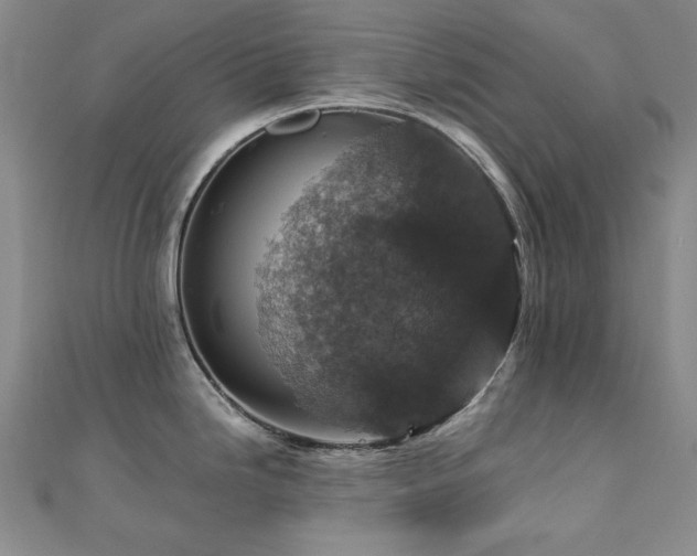 X0000110711246200906121348