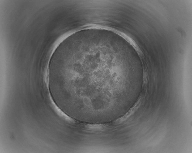 X0000110711247200906121348