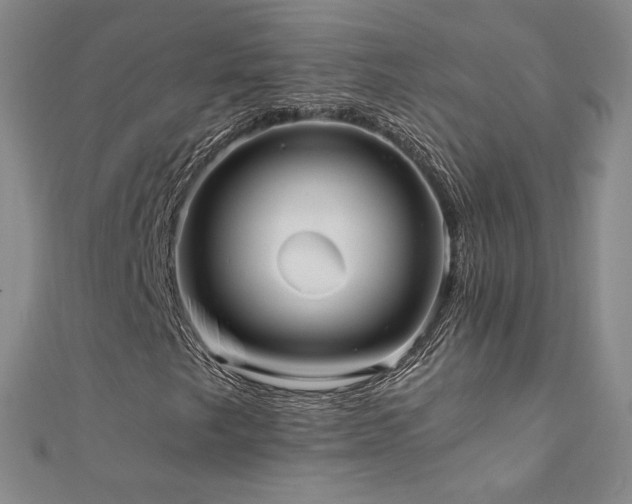 X0000110711249200906121347