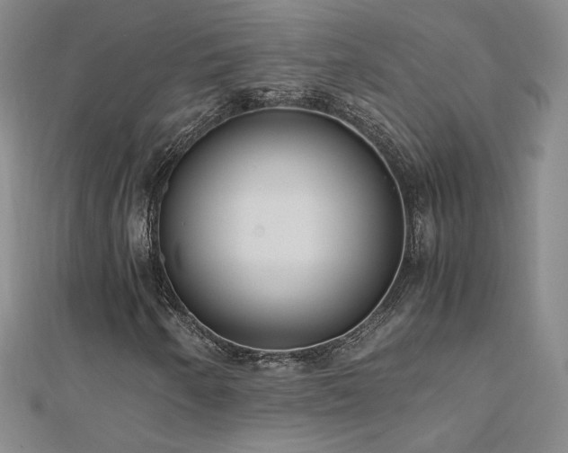 X0000110711250200906121347
