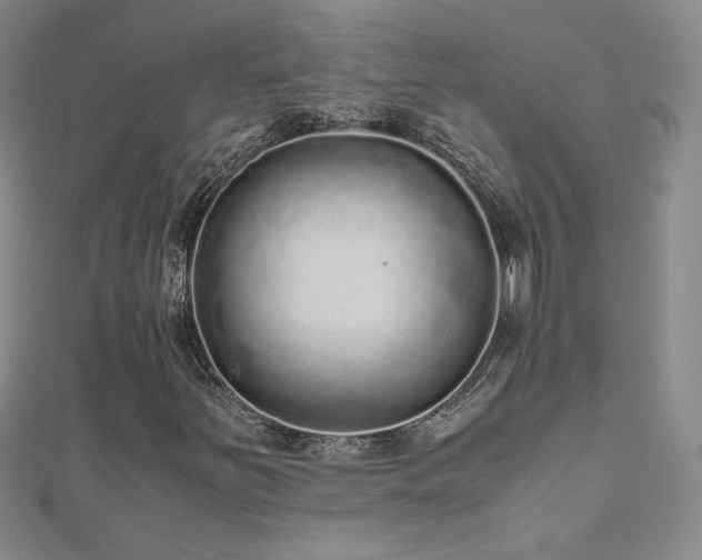 X0000110711251200906121347