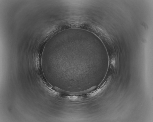 X0000110711252200906121347