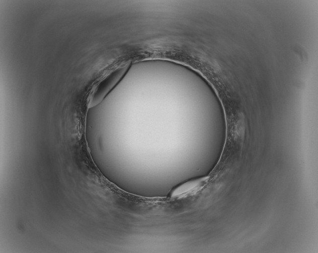 X0000110711253200906121347