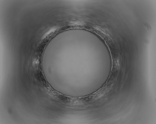 X0000110711254200906121347
