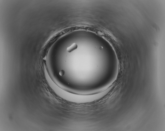 X0000110711256200906121347