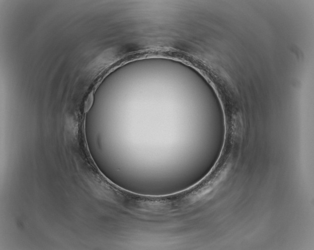 X0000110711257200906121347
