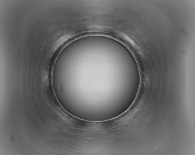 X0000110711259200906121347