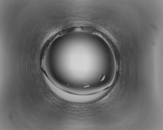 X0000110711261200906121347