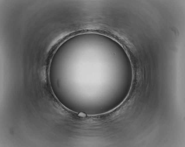 X0000110711262200906121347