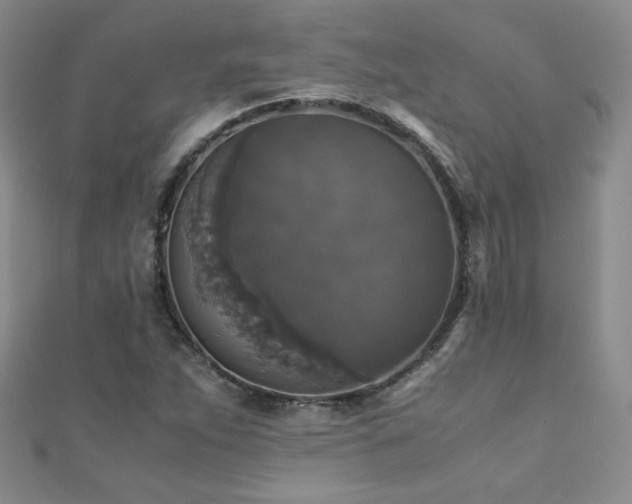 X0000110711263200906121347