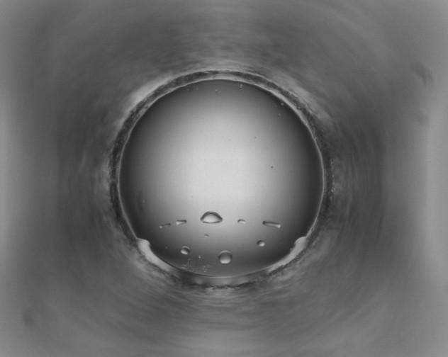 X0000110711264200906121347