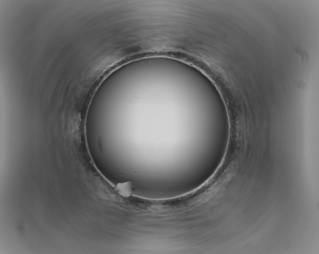 X0000110711265200906121347