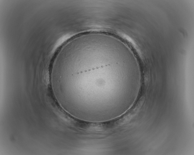 X0000110711267200906121347