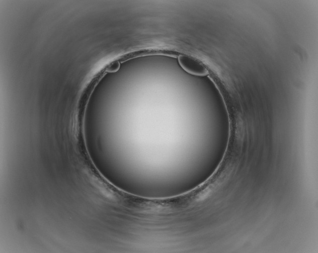 X0000110711270200906121347