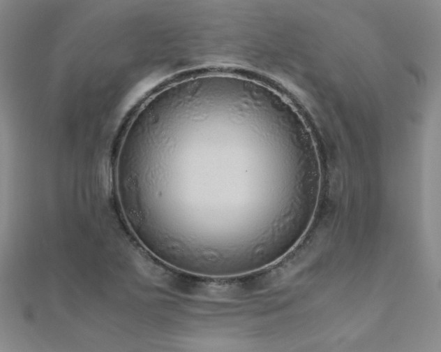 X0000110711271200906121347